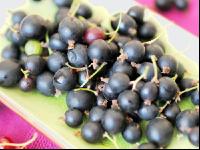 Jostabeeren 3