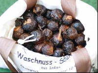 Waschnüsse 1