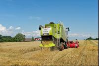 Hafer Ernte 6