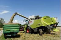 Hafer Ernte 17