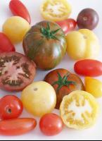 Tomatenvielfalt 11