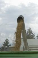 Gerste Ernte 82