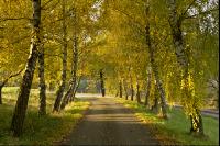 Herbststimmung 3