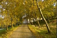 Herbststimmung 4