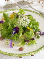 Wildkräutersalat mit Blüten 2