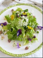 Wildkräutersalat mit Blüten 1