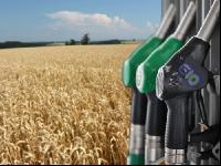 Bioethanol E10 Weizen 1