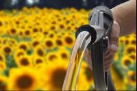 Sonnenblumenöl tanken