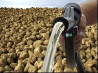 Bioethanol E10 Rüben