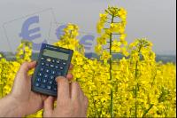 Ölsaaten Preis 5