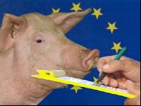 Mastschweine EU 2