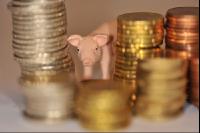 Finanzen Schweine 34