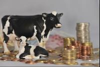 Finanzen Rinder 14