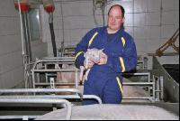 Ferkel Betreuung 2