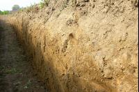 Soil profile 2