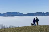 Nebel im Tal 18