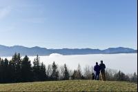 Nebel im Tal 19