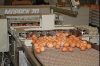 Eier sortieren J 9