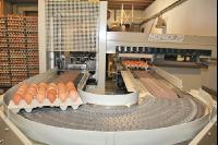 Eier sortieren J 4