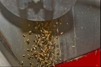 Triticale Ganzkornsilage 5