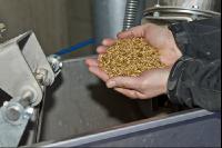 Triticale Ganzkornsilage 3