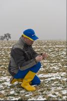 Gerste Auswinterung 2