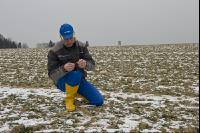 Gerste Auswinterung 1