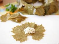 Dolmades zubereiten 5