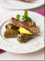Dolmades Fleischspieß 1