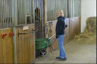 Pferdestall ausmisten 1