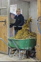 Pferdestall ausmisten 2