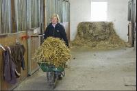 Pferdestall ausmisten 5
