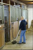 Pferdestall ausmisten 7
