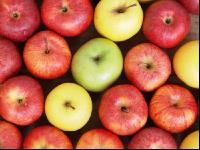 Apfel 9