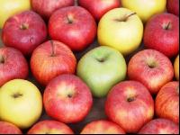 Apfel 8