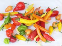 Chilis 3