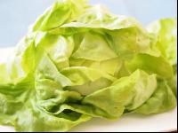 Kopfsalat 8