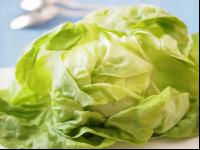 Kopfsalat 7