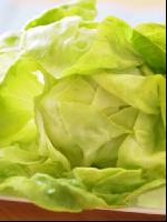 Kopfsalat 5