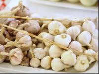 Knoblauch 4