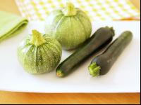 Zucchini Arten 2