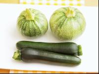 Zucchini Arten 1