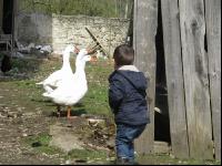 Kinder am Hof 39