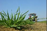 Barley herbicide 12