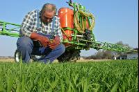 Barley herbicide 9