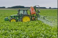 Beets fungicide 13