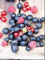 Mixed berries 10