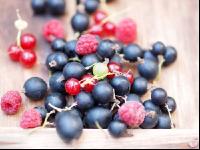 Mixed berries 11