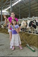 Kinder am Hof 2