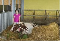Kinder am Hof 19